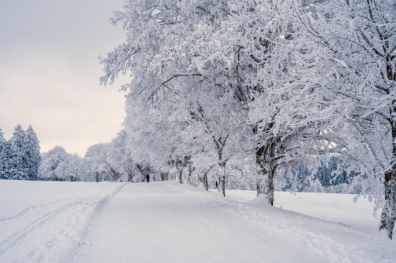 Niseko, Japan